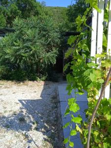 Светлана - 15