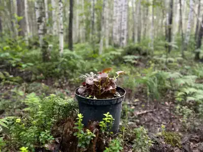 База отдыха на воде Оланга - 44