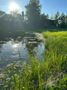 Медвежье урочище - 59