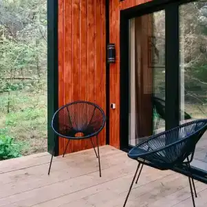 Сосны. Пространствие - 17