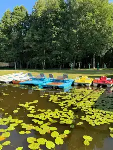 Маево - 10