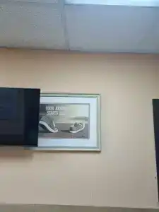 Хона - 12