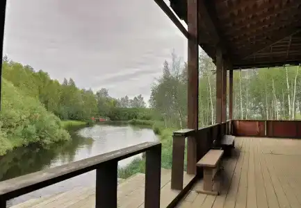 Лесная Купель - 2