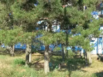 Бриз - 37