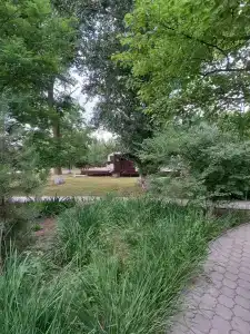 13 кордон - 67