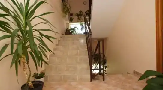 Пальмира - 100