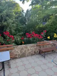 Солнышко - 70