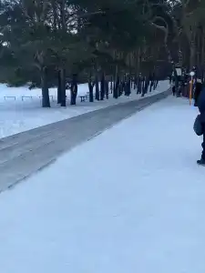 Ясная поляна - 52