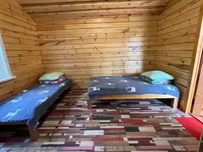 Спутник - 29