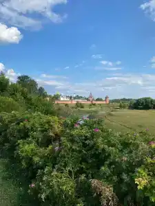 Усадьба на Спасской - 89