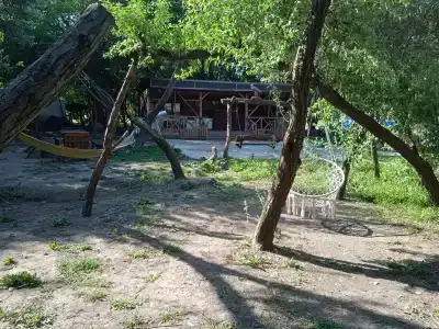 Сказочный лес - 69