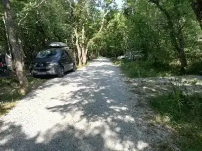 Сосны New - 58