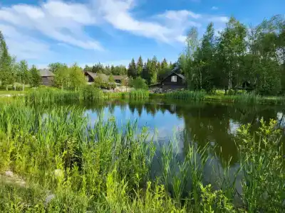 Березовка - 28