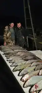 Рыбоход - 42