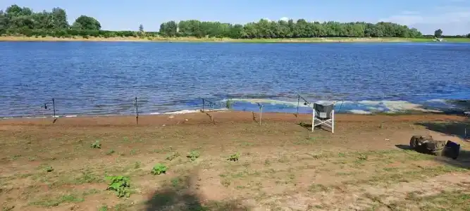 Лес и Рыба - 33