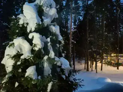 Времена Года - 47