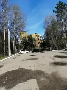 Лесная сказка - 17