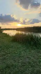 Давидашен - 98
