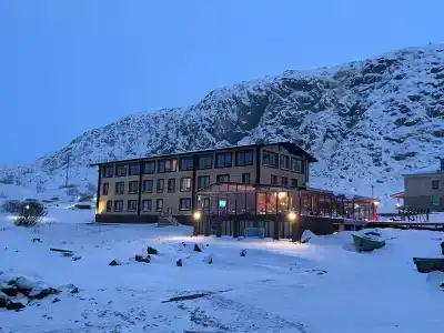 Cedar Grass Териберка - 15