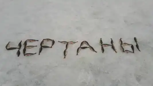 Малые Чертаны - 21