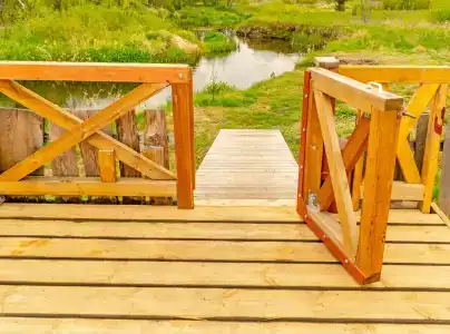 Беловежское Поместье - 9