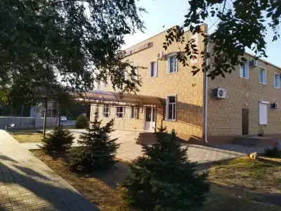 Белая лилия - 3