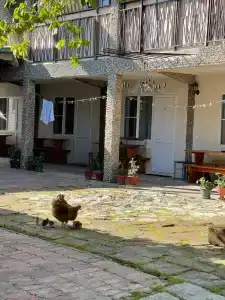 Дамир - 5