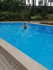 Розмарин - 24
