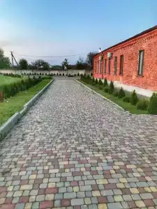 Райский Сад - 22