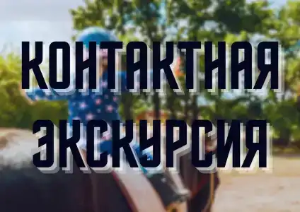 Костин двор - 15