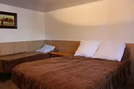 Tamga Bee House - 1