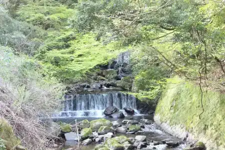Hakone Guesthouse Toi - 30