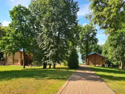 Снегири - 5