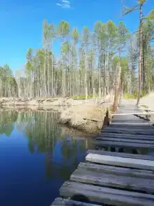 Спутник - 56