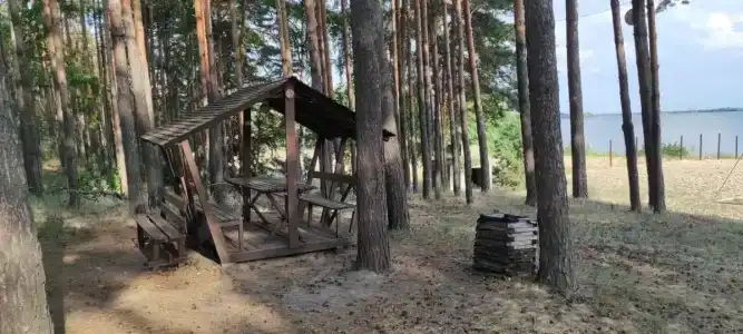Сосновый бор - 30