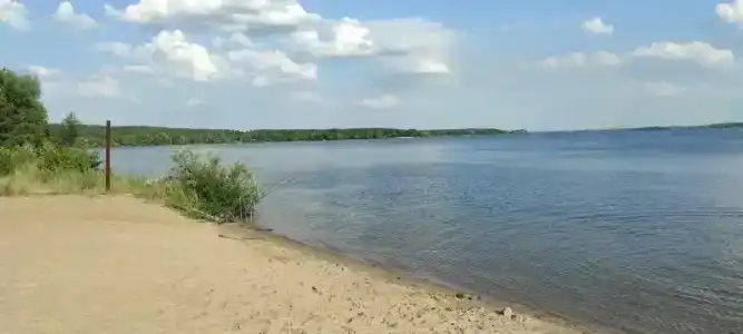 Сосновый бор - 33