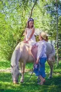 Лошадкино - 65