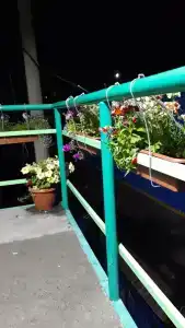 Ной - 12