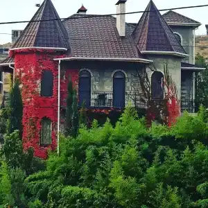 Замок Алустон - 38