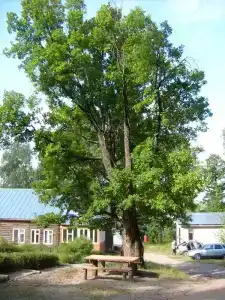 Экологическая база ННГУ - 6