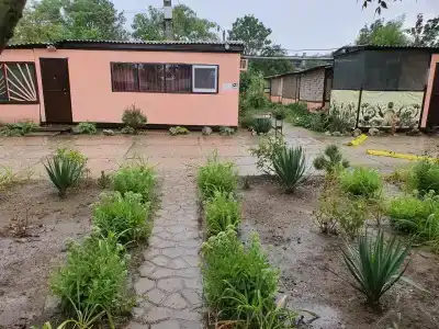 Остров Добра - 25