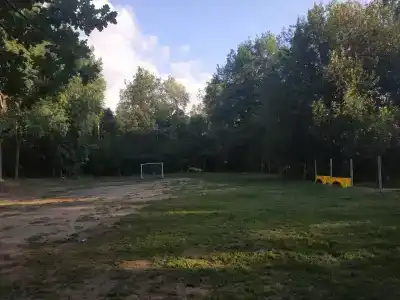 Клён - 2