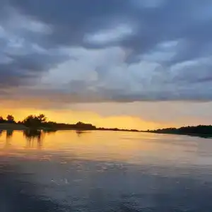 Фишбург - 7
