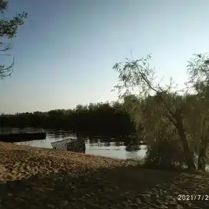 Бодрость - 15