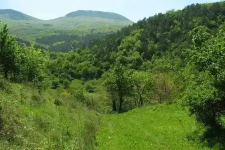 Горец - 11