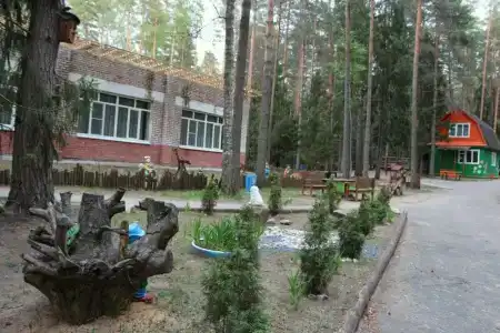 Залив - 1