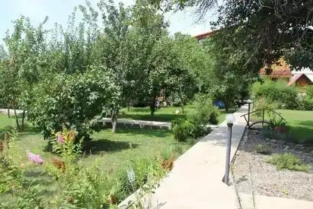 Теремок - 6