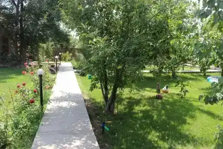Теремок - 7