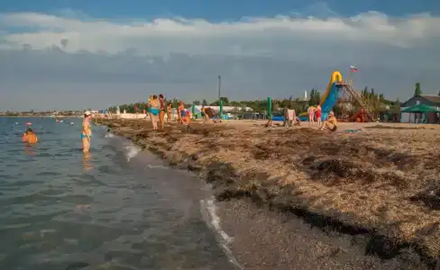 Прибой - 11