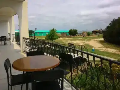 Сафари - 0